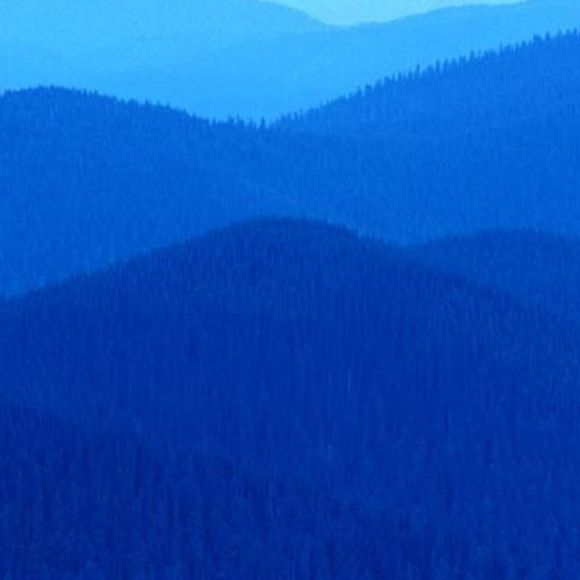 Profile Picture of Jeni Clark (@jlclark711) on Poshmark