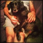 Profile Picture of Joseph Raulston (@taleswubbaelite) on Instagram