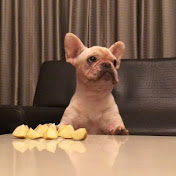 Profile Picture of Jim Huang (@angryjim123) on Youtube