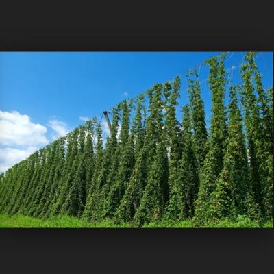 Valerie Bryant - Twitter Profile Picture of Valerie Bryant (@@valerieleeb) on Twitter