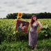 Profile Picture of Sarah Michelle Schechter (@sarah.m.schechter) on Facebook