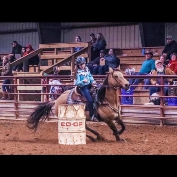 Profile Picture of Leila Wright (@leilawright667) on Poshmark