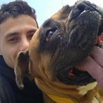 Profile Picture of _benjaminamadeo_ (@_benjaminamadeo_) on Tiktok