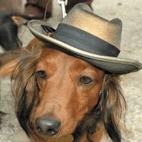 Profile Picture of Fernando Mendoza (@fernando-mendoza-99) on Quora