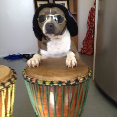 Profile Picture of Zhiqiang Yu (@ywlchinese) on Twitter