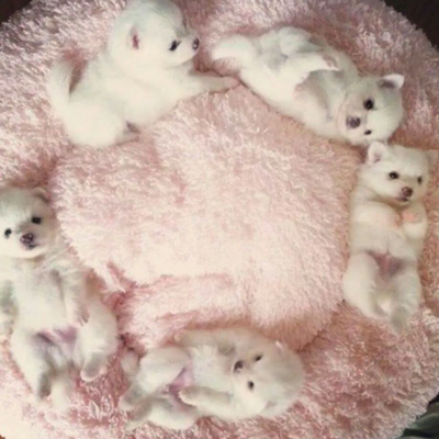 Profile Picture of Bruno (@Julia16br) on Twitter