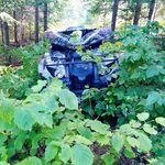 Profile Picture of Steve Laliberté (@steve.laliberte.71) on Instagram