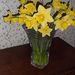 Profile Picture of Carol Chase Hardy (@cchardy606) on Pinterest