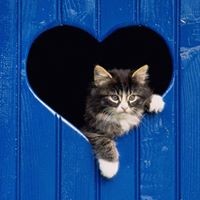 Profile Picture of Lucia Quesada (@lucia-quesada) on Quora