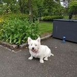 Profile Picture of Robyn Sutherland (@robyn0811) on Instagram