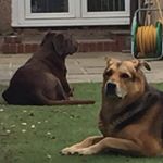 Profile Picture of Scott Kaye (@heferkaye) on Instagram