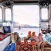 Profile Picture of Jeff Hetherington (@hetheringtonjef) on Pinterest