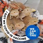 Profile Picture of Sheri Serafino-Holcombe (@holco2014) on Instagram