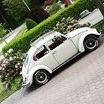 Profile Picture of vw käfer | marie (@chaoskaefer) on Instagram