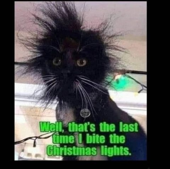 Profile Picture of Jason Massey (@jasonmassey4) on Poshmark