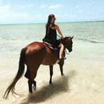 Profile Picture of Alex Sakason (@alexsakas) on Instagram