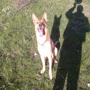 Antonio Romanelli - Youtube Profile Picture of Antonio Romanelli (@antonioromanelli6002) on Youtube