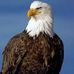 Profile Picture of Michael Blaisdell (@michael.blaisdell.5) on Facebook