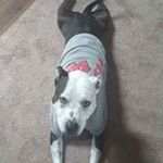 Nicholas J Habeck - Instagram Profile Picture of Nicholas J Habeck (@nicholashabeck) on Instagram