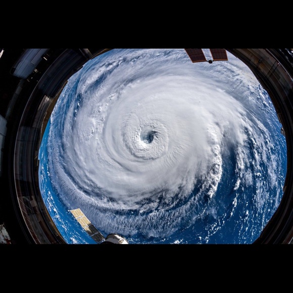 Profile Picture of Trevor Haynes (@trevorhaynes) on Poshmark