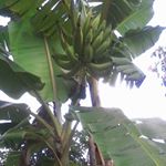 Profile Picture of Jude François (@jude.francois.96) on Instagram