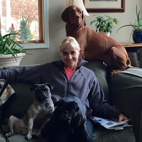 Profile Picture of Roberta Routt (@rroutt2) on Pinterest