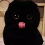 Profile Picture of Alvin-Zhao (@alvin_oahz) on Instagram