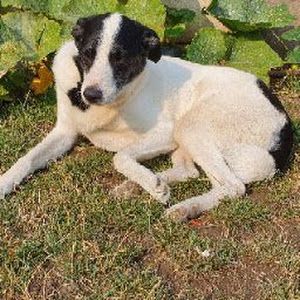 Profile Picture of markbattersby5 (@markbattersby5) on Tiktok