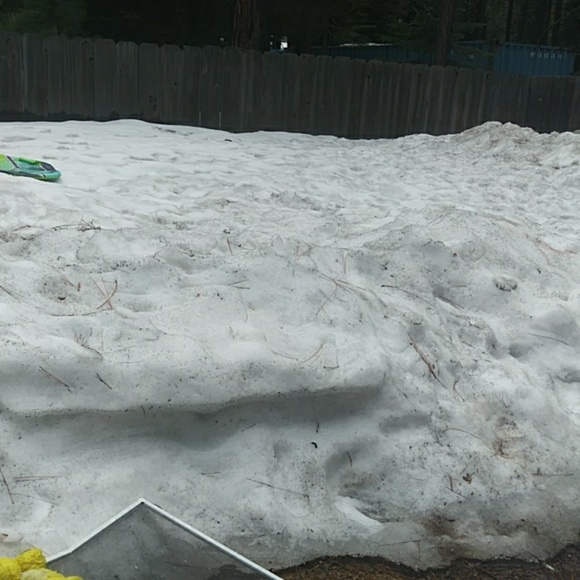 Profile Picture of Brannen Duemmel (@brannend1) on Poshmark