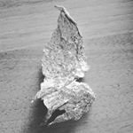 Profile Picture of Petersilie (@petersilie1) on Myspace