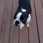 Profile Picture of Craig McC (@craig.mccusker) on Instagram