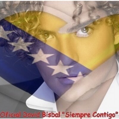 Profile Picture of David Bisbal Bosnia (@DavidBisbalBiH) on Twitter
