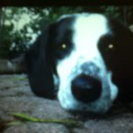 Profile Picture of colt (@colt_maxwell) on Instagram