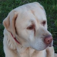 Profile Picture of Julia Schulz (@julia-schulz-49) on Quora