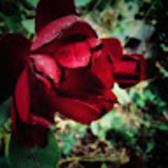 Profile Picture of Naomi Bielefeldt (@naomibielefeldt) on Poshmark