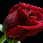 Profile Picture of Дадажонова Дилрабо (@dadazhonovadilrabo) on Instagram