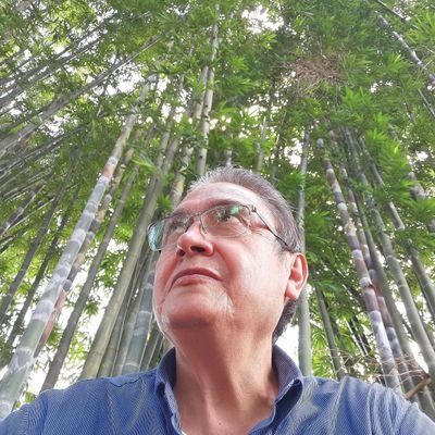 Profile Picture of Luis A. González Quijano (@elhombredelsol) on Twitter