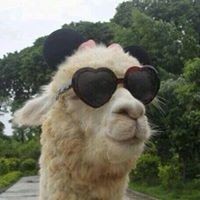 Profile Picture of Connor Mcgrath (@connor-mcgrath-9) on Quora