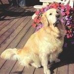 Profile Picture of Loretta Tate (@loretta.hillgrove) on Instagram