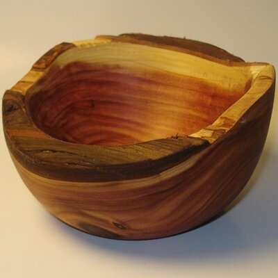 Profile Picture of Mike Oyama (@mikesturnings) on Twitter