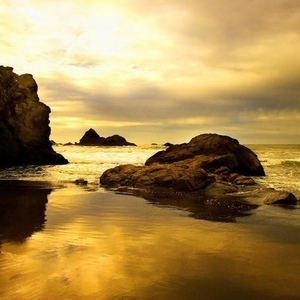 Profile Picture of Nancy Gonsael (@344682099) on Myspace