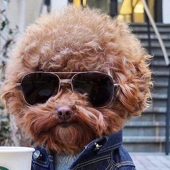 Profile Picture of Audrey Mednick (@0003781stu) on Poshmark