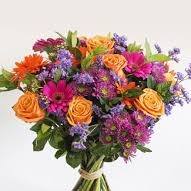 Profile Picture of Seth Fraser (@Seth-Fraser) on Facebook