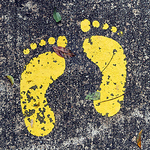 Profile Picture of Kuu B (@kuu b photography) on Flickr