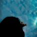 Profile Picture of مونية أخون (ছদ্মবেশী) (@مونية-أخون) on Facebook