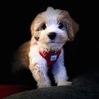 Profile Picture of Marla Pollard Harold (@marla-pollard-harold) on Quora