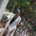 Profile Picture of Claudette James (@claudette.james.923) on Facebook