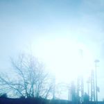 Profile Picture of Adrian Holler (@adrian_holler) on Instagram
