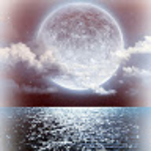 Profile Picture of Erica Govea (@ericagovea11) on Poshmark