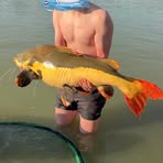 Profile Picture of Mitchell Bowman (@Mitchell-Bowman) on Facebook